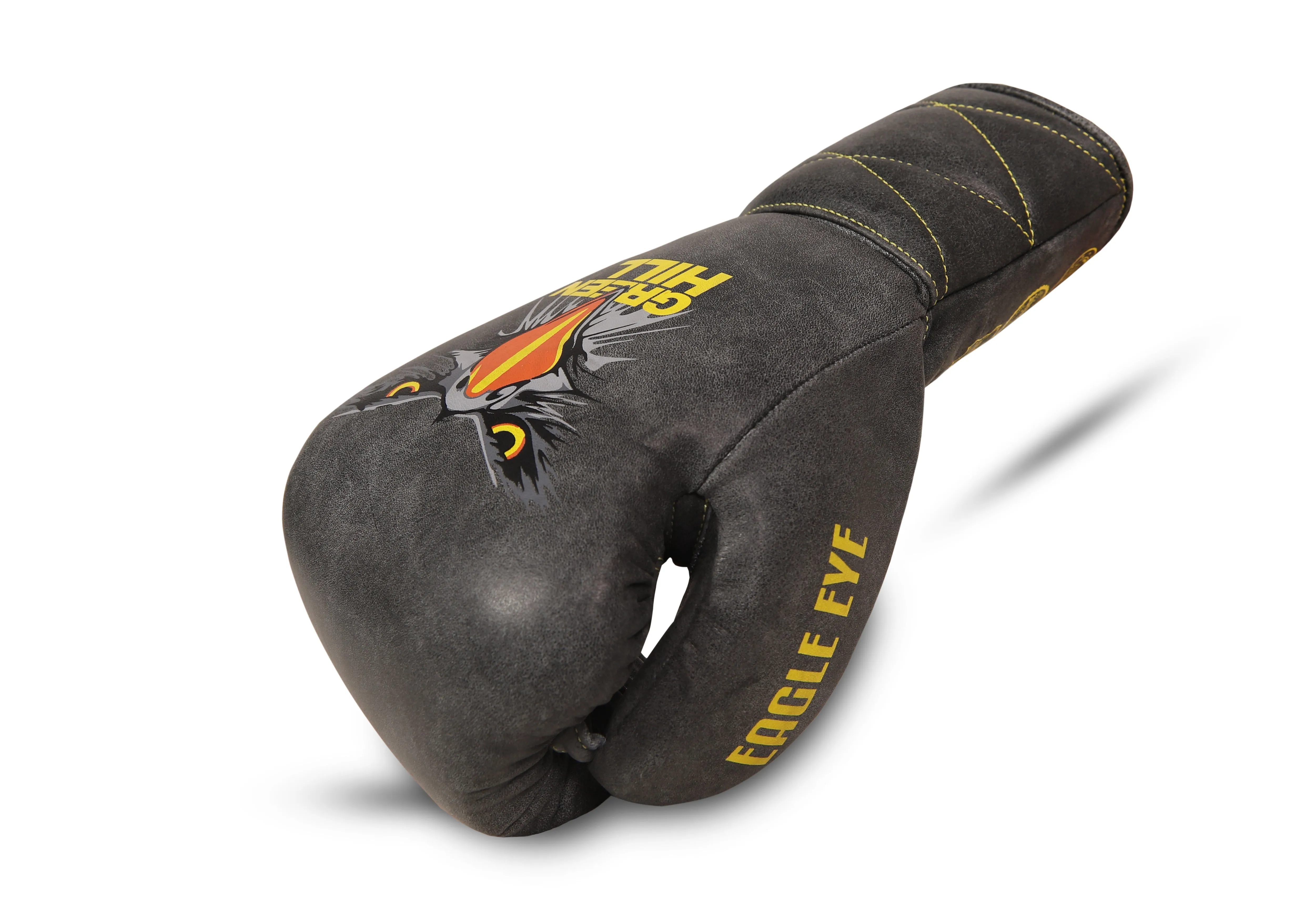 Boxing Gloves Eagle Eye