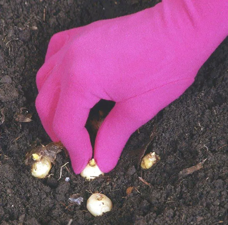 Foxgloves Gardening Gloves <i>Original</i>