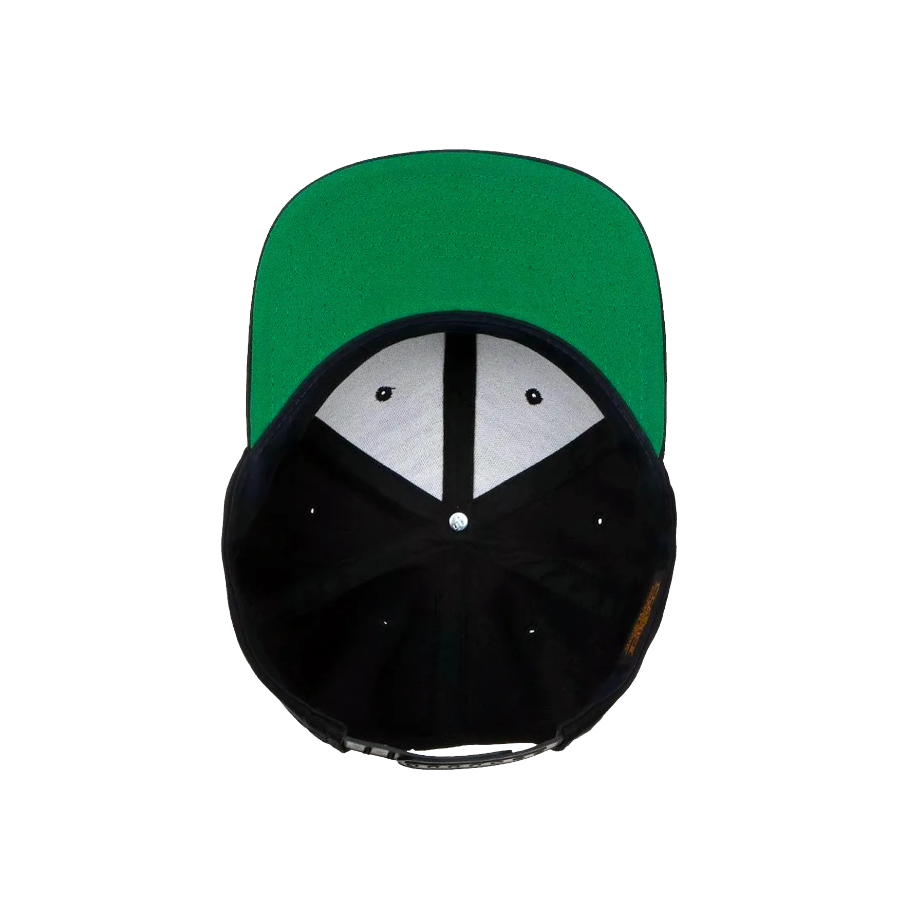 NF Snapback