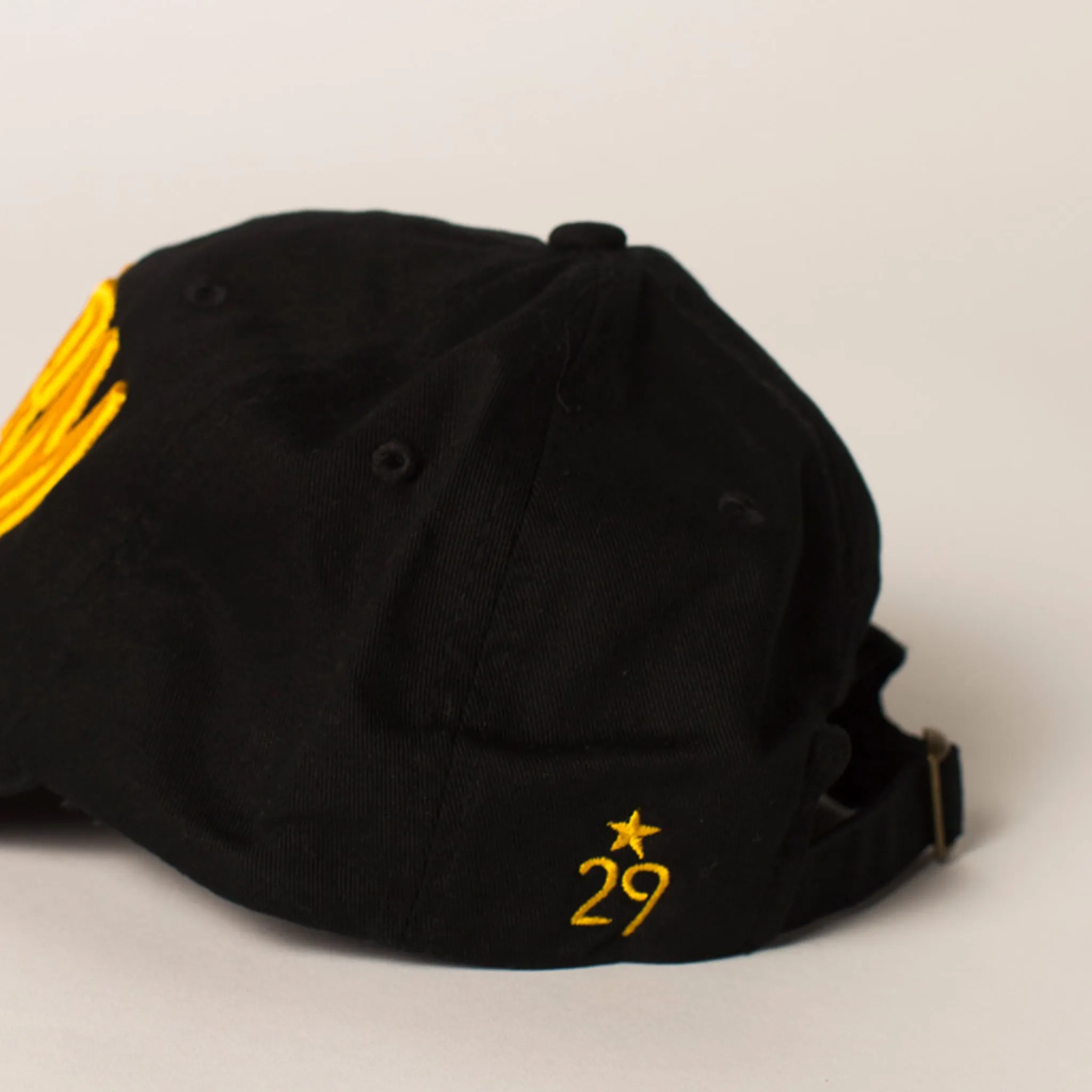 SWARM Baseball Hat